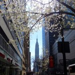 NYC Travel Diary 3: High Line, Bryant Park and Times Square, Fashionblog, Kationette, Travelblog, New York