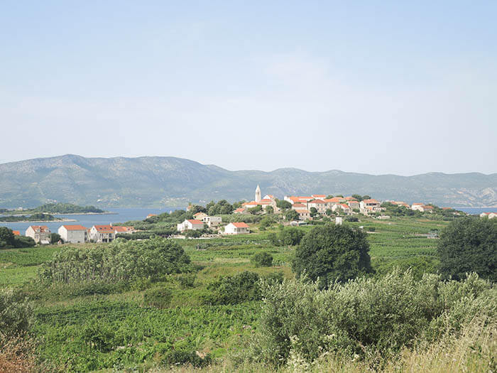 Croatian Wine Tasting Tour with Korcula Explorer