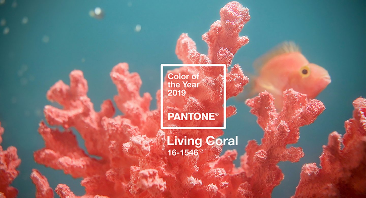 Living-Coral_Pantone_2019-kationette-fashionblog